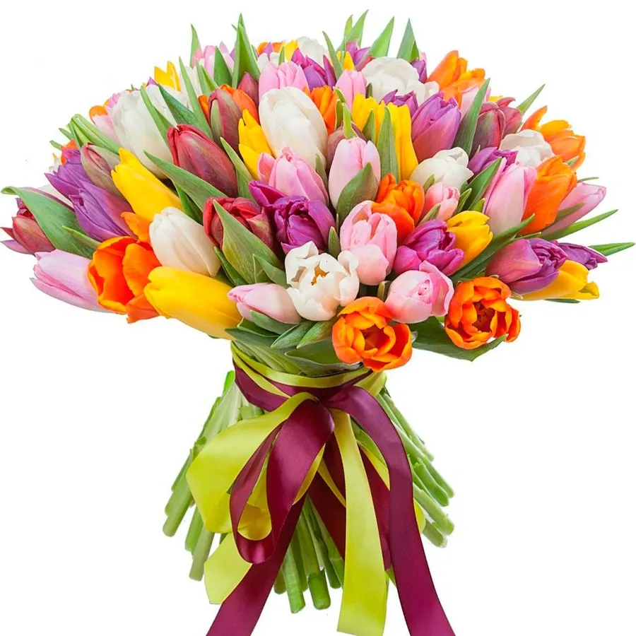 Тюльпаны палитра микс